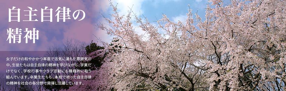 永乐国际安卓软件登录入口